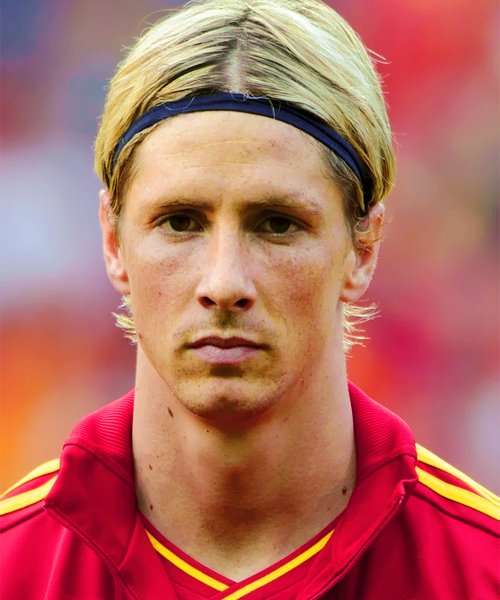 fernando torres spain