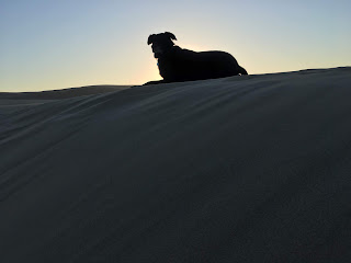 Sept 6 2019 Pacific Dunes - (c) by Frank DeFrancesco