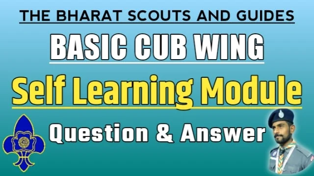 Basic-cub-wing-self-learning-modules