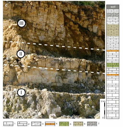 http://sciencythoughts.blogspot.co.uk/2013/11/a-late-jurassic-lagerstatte-from.html