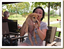 Adoption 3 Cherry
