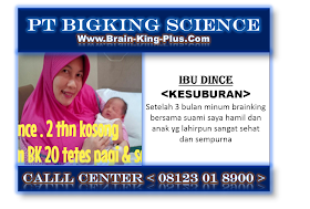 Brainking Plus 08123 01 8900