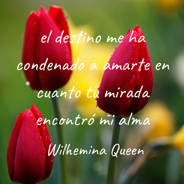 El Mundo de Wilhemina Queen