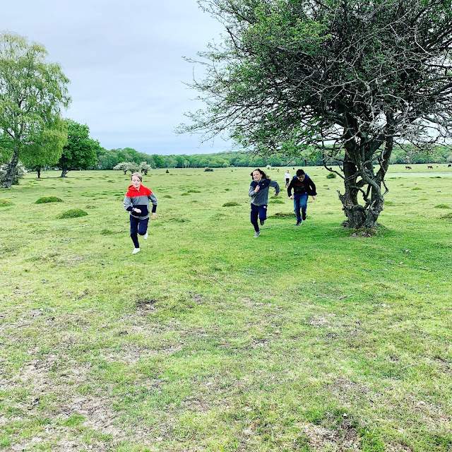 children running in New Forest