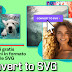 Convert to SVG | converti gratis immagini in formato vettoriale SVG