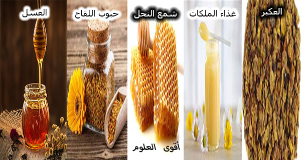 أنواع منتجات نحل العسل