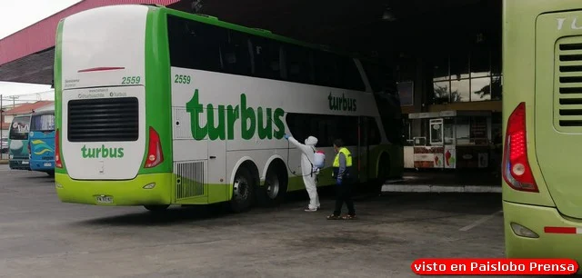Osorno-Coronavirus: Pasajera activa los protocolos en el terminal de buses 😷🇨🇱