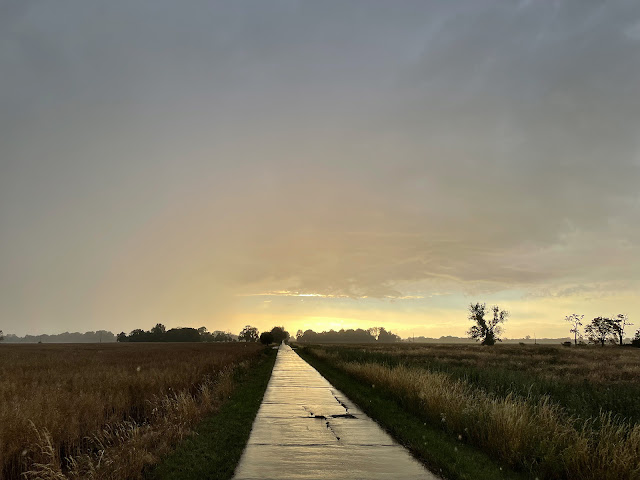 Oderbruch Sommer 2022, Foto: Jost Schilgen