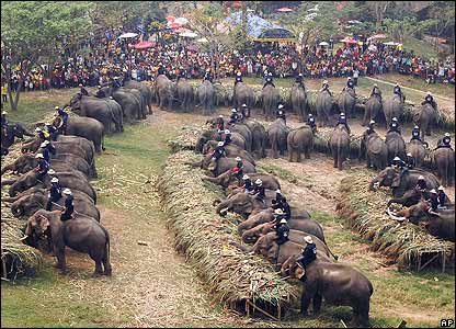 Thailand Elephant Day Photos...