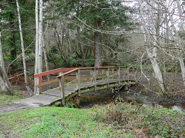 bridge over Cooper Creek