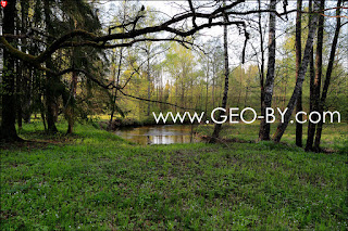 Usa river in Naliboki forest