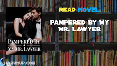 Pampered By My Mr. Lawyer Novel