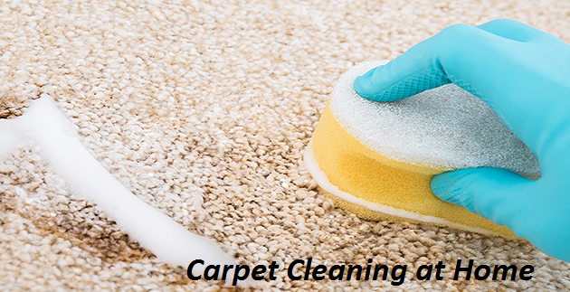 Carpet Cleaning