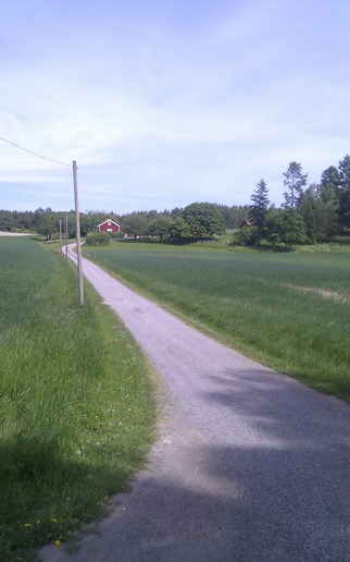 IMAG0571