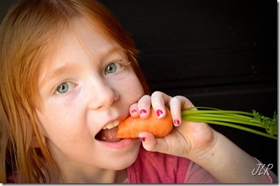 HarvestAug272011-6206