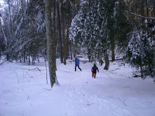 trekking back to car at Hocking Hills climbing area