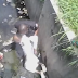 OMG! Man Dies After Reportedly Being Pushed Inside Gutter By A Policeman