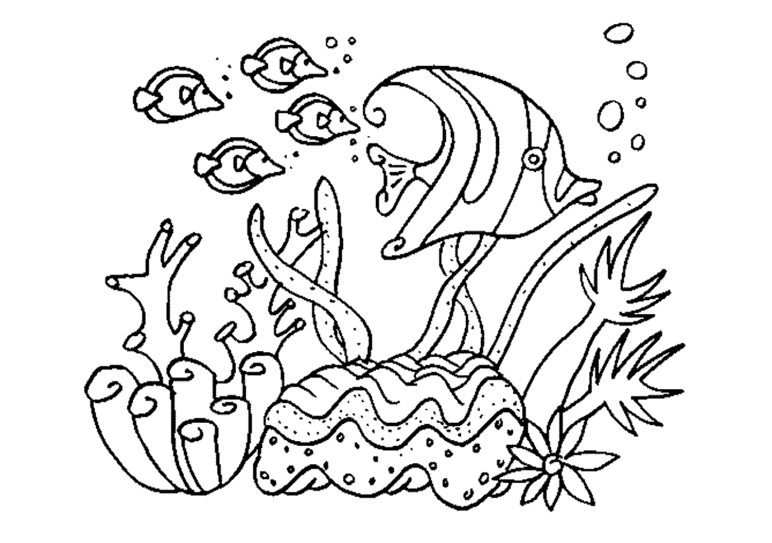 Sketsa Gambar Rumput Laut Sobsketsa