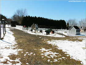 Granja de Sirope de Arce: Zona Animales