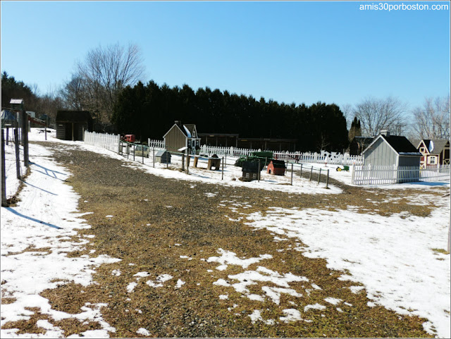 Granja de Sirope de Arce: Zona Animales