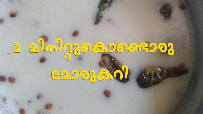 2 minutes curd curry on YouTube Channel