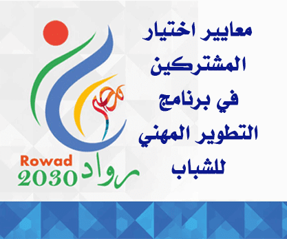 معايير اختيار المشاركين في برنامج التطوير المهني للشباب