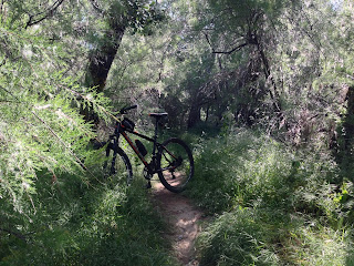 ruta mtb alcala meco camarma