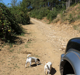 This road is so bad... off road vehicles only, surely...