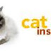 Pet Health Insurance in the USA