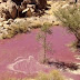 Artificial wine lake found in Saudi Arabia