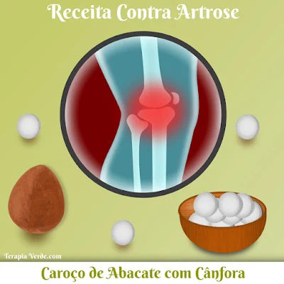 Receita Contra Artrose: Caroço de Abacate com Cânfora