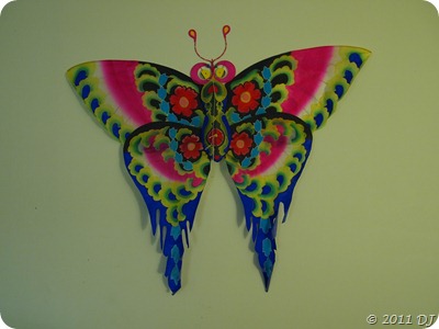 Butterfly-2