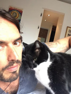 Más de 10 fotos de hombres guapos famosos y sus queridos gatitos