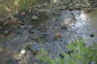 Brook in Skipton