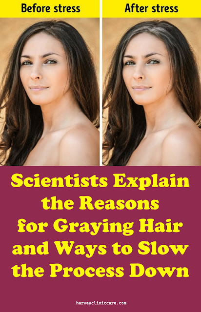 Scientists Explain the Reasons for Graying Hair and Ways to Slow the Process Down