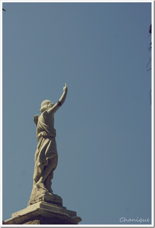 SONY DSC
