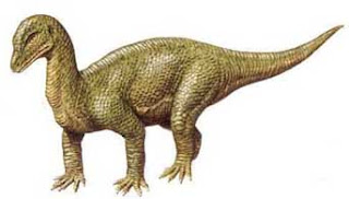 Mussaurus