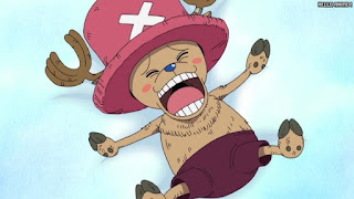 ワンピース アニメ 空島 スカイピア 153話 チョッパー Tony Tony Chopper | ONE PIECE Episode 153 Skypiea