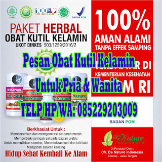 Obat Kutil Kelamin