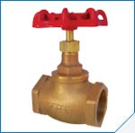  Tozen Bronze Globe Valve