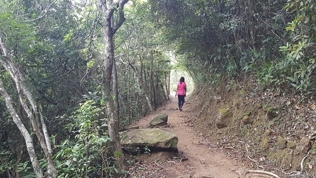 Dragon’s Back Trail towards Cape Collinson