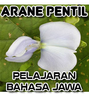 Arane pentil, sebutane pentil, Pelajaran Bahasa Jawa, daftar nama bakal buah dalam bahasa jawa, pelajaran sekolah, sekolah dasar, pepak boso Jowo, belajar bahasa jawa, kumpulan, rangkuman, istilah jawa