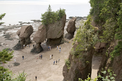 hopewell rocks at low tide