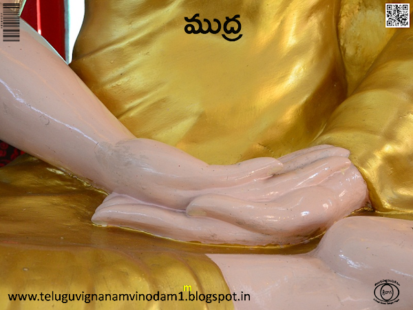 ధ్యానయోగముద్ర - dhyana yoga mudra