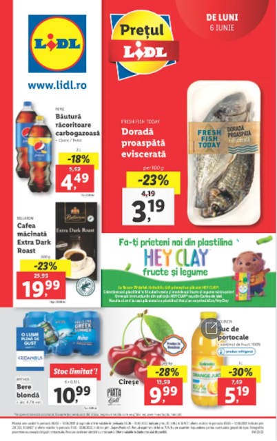 LIDL Catalog - Brosura 6-12.06 2022