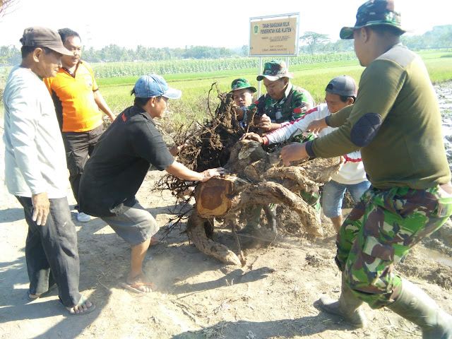 Kiprah TNI Polri Dan Warga Pada TMMD Reg 105 Kodim Klaten