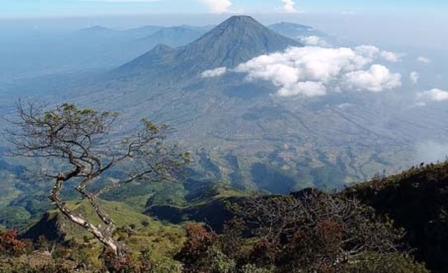 Kisah Mistis Gunung Arjuno  Terseram