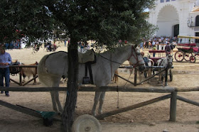 paard vastgebonden aan houten balk in El Rocio, Spanje