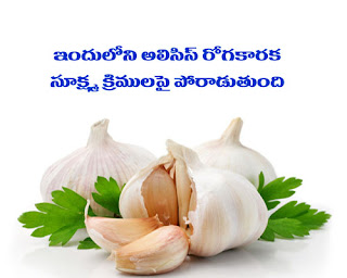 Vellulli Upayogalu - Uses of Garlic in Telugu