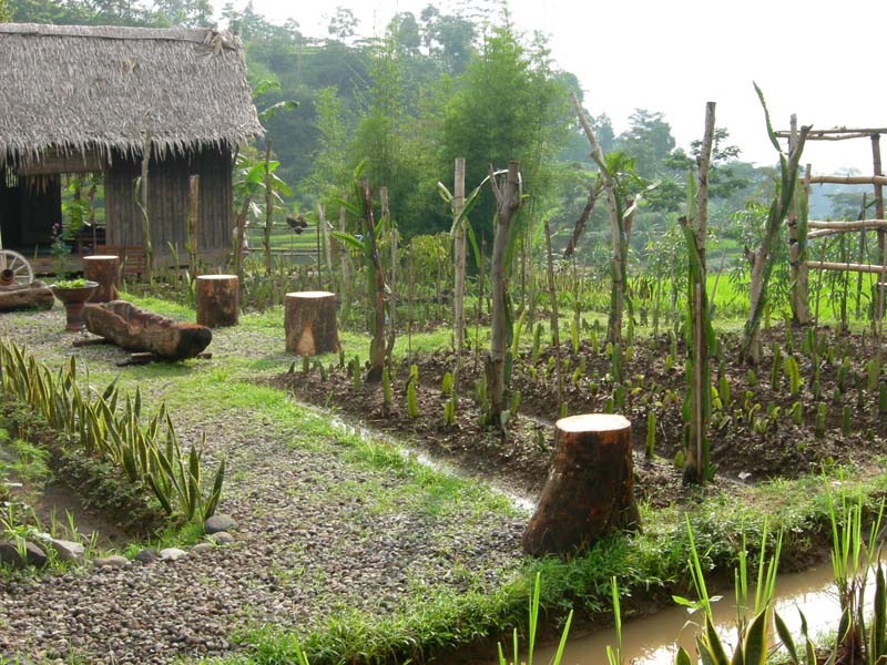 obyek wisata kampung gajah bandung